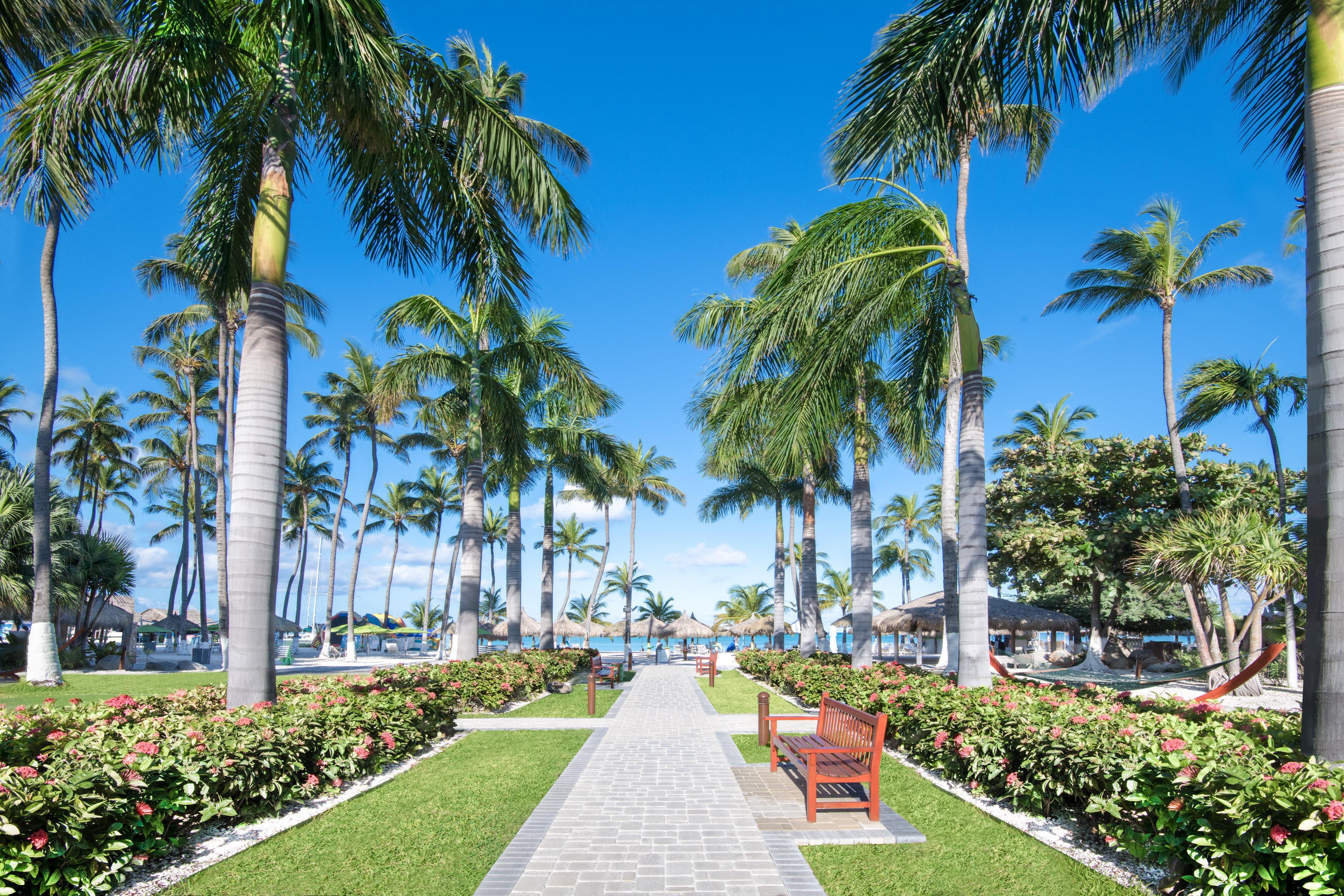 Holiday Inn Resort Aruba - Beach Resort & Casino, An Ihg Hotel Palm Beach Exterior photo